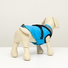 Куртка для собак со светоотражающей шлейкой, размер 12 (ДС 28, ОГ 38, ОШ 27), голубая - Фото 3