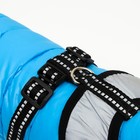 Куртка для собак со светоотражающей шлейкой, размер 12 (ДС 28, ОГ 38, ОШ 27), голубая - Фото 6