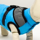 Куртка для собак со светоотражающей шлейкой, размер 16 (ДС 36, ОГ 46, ОШ 35), голубая - фото 9837501