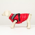 Куртка для собак со светоотражающей шлейкой,  размер 8 (ДС 23 см, ОГ 30, ОШ 22 см), красная - Фото 4