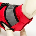Куртка для собак со светоотражающей шлейкой,  размер 8 (ДС 23 см, ОГ 30, ОШ 22 см), красная - Фото 5