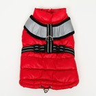 Куртка для собак со светоотражающей шлейкой,  размер 8 (ДС 23 см, ОГ 30, ОШ 22 см), красная - Фото 9