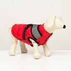 Куртка для собак со светоотражающей шлейкой,  размер14 (ДС 32 ОГ 42 ОШ 31), красная - фото 1510916