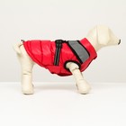 Куртка для собак со светоотражающей шлейкой,  размер14 (ДС 32 ОГ 42 ОШ 31), красная - фото 7256629