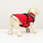 Куртка для собак со светоотражающей шлейкой, размер 16 (ДС 36, ОГ 46, ОШ 35), красная - фото 7256640