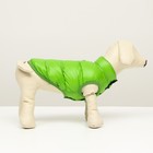 Куртка для собак двухсторонняя с принтом,  размер 8 (ДС 20 см, ОГ 30, ОШ 22 см), зелёная - Фото 2