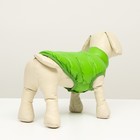 Куртка для собак двухсторонняя с принтом,  размер 8 (ДС 20 см, ОГ 30, ОШ 22 см), зелёная - Фото 3