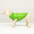Куртка для собак двухсторонняя с принтом,  размер 8 (ДС 20 см, ОГ 30, ОШ 22 см), зелёная - Фото 4