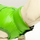 Куртка для собак двухсторонняя с принтом, размер 12 (ДС 26 см, ОГ 38 см, ОШ 27 см),зелёная - Фото 5