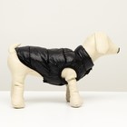 Куртка для собак двухсторонняя с принтом,  размер 8 (ДС 23 см, ОГ 30, ОШ 22 см), чёрная - Фото 2
