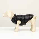 Куртка для собак двухсторонняя с принтом,  размер 8 (ДС 23 см, ОГ 30, ОШ 22 см), чёрная - Фото 4