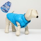 Куртка для собак двухсторонняя с принтом,  размер 8 (ДС 23 см, ОГ 30, ОШ 22 см), голубая - фото 9416744