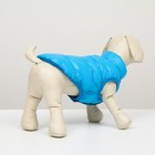 Куртка для собак двухсторонняя с принтом, размер 10 (ДС 25 см, ОГ 34 см, ОШ 24 см),голубая - фото 27225940