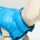 Куртка для собак двухсторонняя с принтом, размер 10 (ДС 25 см, ОГ 34 см, ОШ 24 см),голубая - фото 27225942