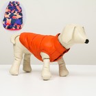 Куртка для собак двухстороння с принтом,  размер 8 (ДС 23 см, ОГ 30, ОГ 22 см), коралловая - фото 318672733
