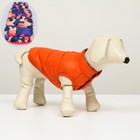 Куртка для собак двухсторонняя с принтом, размер 10 (ДС 25,ОГ 34, ОШ 24 см),коралловая - фото 318672737