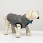 Куртка для собак двухсторонняя с воротником, ДС 36, ОШ 36, ОГ 52, голубая/серая - фото 59772354