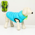 Куртка для собак двухсторонняя, S35 (ДС 34 , ОШ 33 , ОГ 44 ),  бирюзовая/салатовая   69684667 - фото 9416818