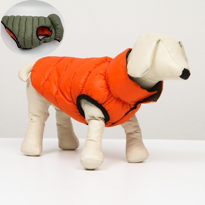 Куртка для собак двухсторонняя с воротником , ДС 24, ОШ 24, ОГ 40, оранжевая/зелёная - Фото 1