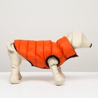 Куртка для собак двухсторонняя с воротником , ДС 24, ОШ 24, ОГ 40, оранжевая/зелёная - фото 24058936