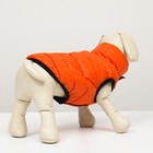 Куртка для собак двухсторонняя с воротником , ДС 24, ОШ 24, ОГ 40, оранжевая/зелёная - Фото 3