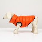 Куртка для собак двухсторонняя с воротником , ДС 24, ОШ 24, ОГ 40, оранжевая/зелёная - Фото 4