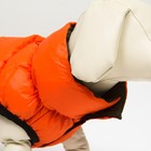 Куртка для собак двухсторонняя с воротником , ДС 24, ОШ 24, ОГ 40, оранжевая/зелёная - Фото 5