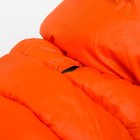 Куртка для собак двухсторонняя с воротником , ДС 24, ОШ 24, ОГ 40, оранжевая/зелёная - Фото 6