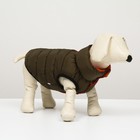 Куртка для собак двухсторонняя с воротником , ДС 24, ОШ 24, ОГ 40, оранжевая/зелёная - Фото 7