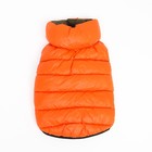 Куртка для собак двухсторонняя с воротником , ДС 24, ОШ 24, ОГ 40, оранжевая/зелёная - Фото 10