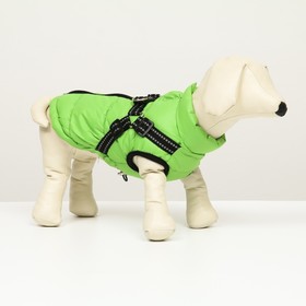 Куртка для собак со шлейкой,  размер 20 (ДС 43 см, ОГ 56 см, ОШ 41 см), салатовая