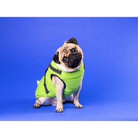 Куртка для собак со шлейкой,  размер 22 (ДС 41 см, ОГ 60 см, ОШ 43 см), салатовая