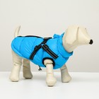 Куртка для собак со шлейкой,  размер 8 (ДС 23 см, ОГ 30 см, ОШ 22 см), лазурная - фото 321531879
