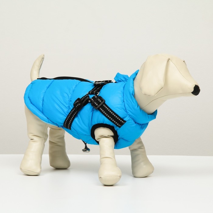 Куртка для собак со шлейкой,  размер 8 (ДС 23 см, ОГ 30 см, ОШ 22 см), лазурная - Фото 1