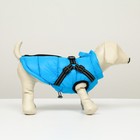 Куртка для собак со шлейкой,  размер 8 (ДС 23 см, ОГ 30 см, ОШ 22 см), лазурная - Фото 2