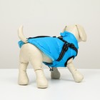 Куртка для собак со шлейкой,  размер 8 (ДС 23 см, ОГ 30 см, ОШ 22 см), лазурная - Фото 3
