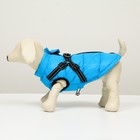 Куртка для собак со шлейкой,  размер 8 (ДС 23 см, ОГ 30 см, ОШ 22 см), лазурная - Фото 4
