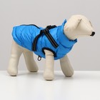 Куртка для собаксо шлейкой, размер 14 (ДС 32 см, ОГ 42 см, ОШ 31 см),  лазурная - фото 9416987