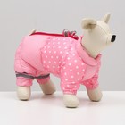 Комбинезон для собак "Горошек", размер 10 (ДС 25, ОГ 34, ОШ 24 см), розовый - фото 3666210