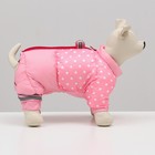 Комбинезон для собак "Горошек", размер 10 (ДС 25, ОГ 34, ОШ 24 см), розовый - Фото 2