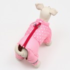 Комбинезон для собак "Горошек", размер 10 (ДС 25, ОГ 34, ОШ 24 см), розовый - Фото 3