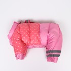 Комбинезон для собак "Горошек", размер 10 (ДС 25, ОГ 34, ОШ 24 см), розовый - Фото 10