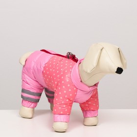 Комбинезон для собак  "Горошек", размер 12 (ДС 25, ОГ 36, ОШ 28 см), розовый