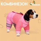 Комбинезон для собак «Горошек», размер 14 (ДС 27, ОГ 38, ОШ 30 см), розовый - Фото 1