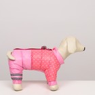 Комбинезон для собак  "Горошек", размер 14 (ДС 27, ОГ 38, ОШ 30 см), розовый - фото 8893246