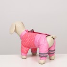Комбинезон для собак  "Горошек", размер 14 (ДС 27, ОГ 38, ОШ 30 см), розовый - фото 8893247