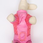 Комбинезон для собак  "Горошек", размер 14 (ДС 27, ОГ 38, ОШ 30 см), розовый - фото 8893250