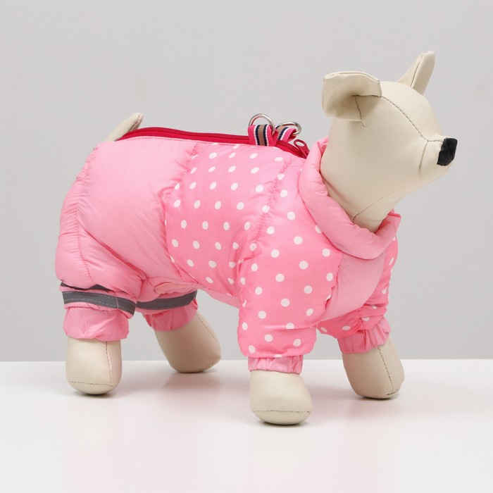 Комбинезон для собак "Горошек", размер 18 (ДС 31, ОГ 46, ОШ 38 см), розовый - Фото 1