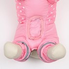 Комбинезон для собак «Горошек», размер 18 (ДС 31, ОГ 46, ОШ 38 см), розовый - Фото 6