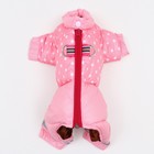 Комбинезон для собак «Горошек», размер 18 (ДС 31, ОГ 46, ОШ 38 см), розовый - Фото 7